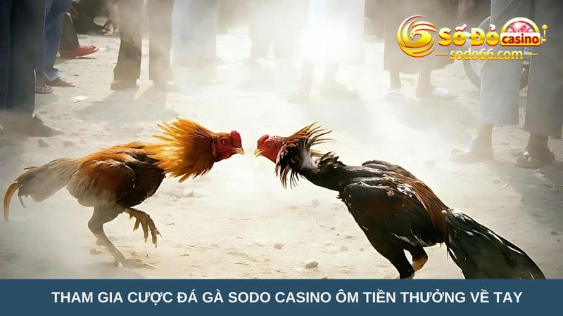 Tham gia cược đá gà Sodo Casino