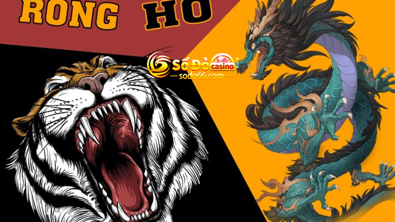 Hướng dẫn Rồng Hổ chọn bet cược 