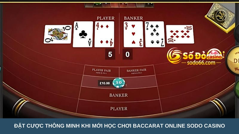 học chơi Baccarat online Sodo Casino 