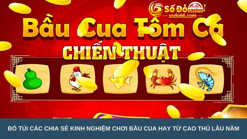 Bỏ túi các chia sẻ kinh nghiệm chơi bầu cua hay từ cao thủ