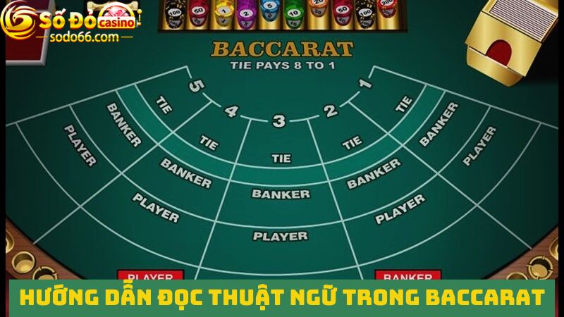 Hướng dẫn đọc chính xác các thuật ngữ trong Baccarat 