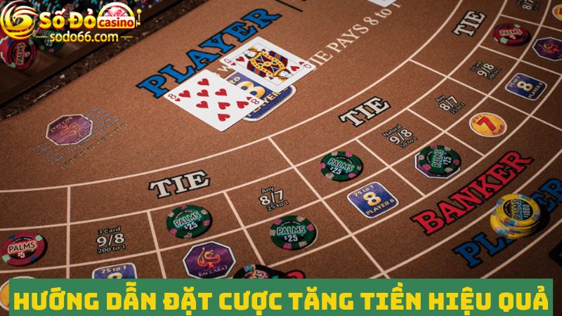 Cẩm nang hướng dẫn Baccarat với mẹo đặt cược tăng tiền 