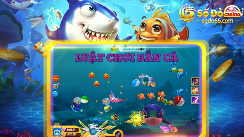 Luật chơi cần nắm trong game bắn cá đổi thưởng Sodo 